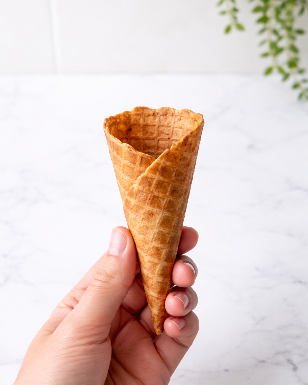 Gur Cones